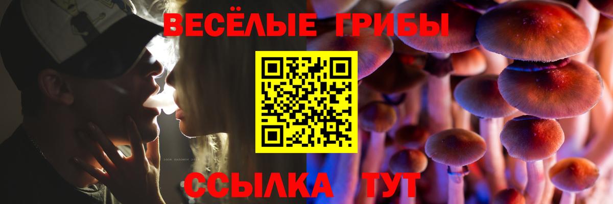 Гулькевичи  Галлюциногенные грибы Magic Shrooms  Галлюциногенные грибы GOLDEN TEACHER  где найти наркотики  Вход с VPN 
